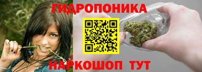 PSILOCYBIN Гусев