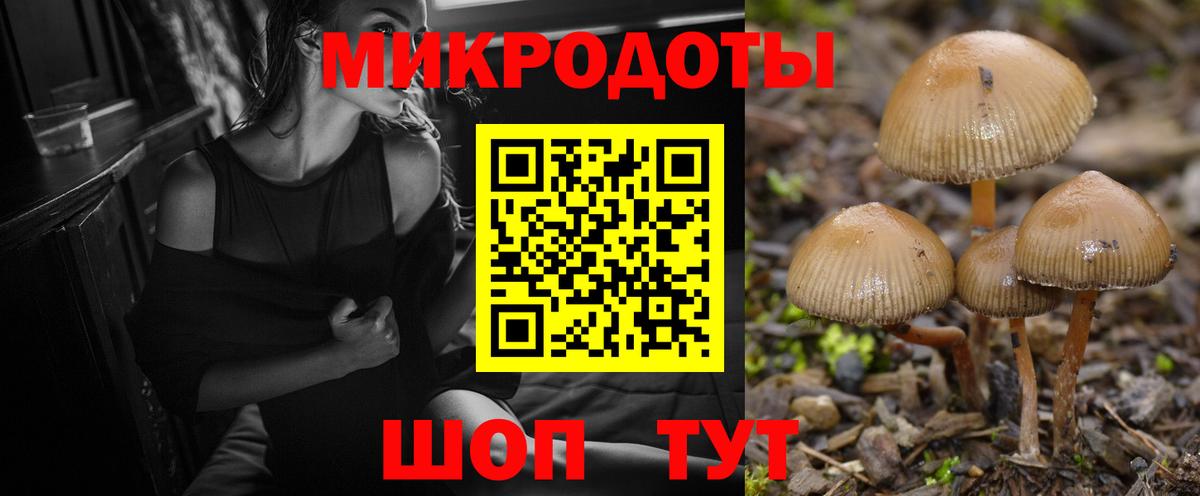 Псилоцибиновые грибы MAGIC MUSHROOMS  Вход с VPN  купить наркотики сайты  Краснотурьинск  Галлюциногенные грибы Psilocybine cubensis 